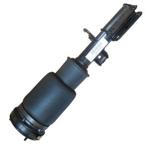 Germany Automotive Shock Absorber For BMW X5 E53 37116757501 37116761443