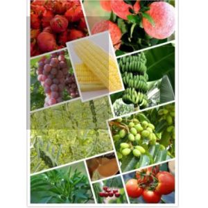 Buy cheap 25057-89-0 Agrochemical Pesticides Herbicide Bentazone 95%TC from wholesalers