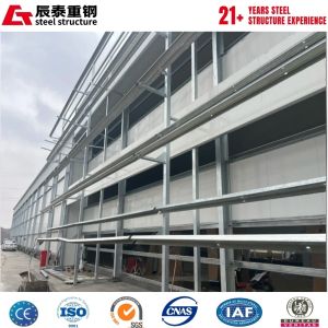 Customized design solution for prefabricated steel structure farm breeding