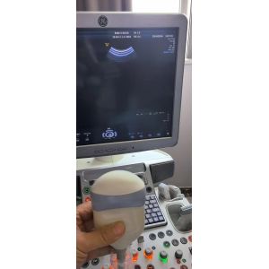 GE VolusonI VolusonE 3D/4D Convex Array Original Ultrasound Probe RAB2-5-RS