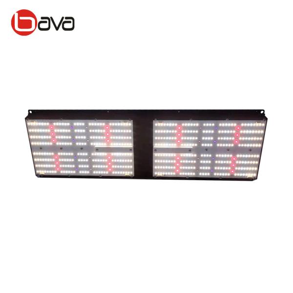UVA lm301h 240W LED Grow Light AC100-277V Adjustable Spectrum