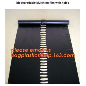 plastic tomatoes home garden polytunnel greenhouse film,Film Covering Tomato