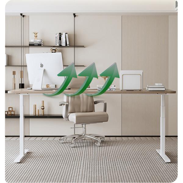 2 Stage Ergonomic Electric Height Adjustable Lifting Desk White Wooden Grain Dual Motor