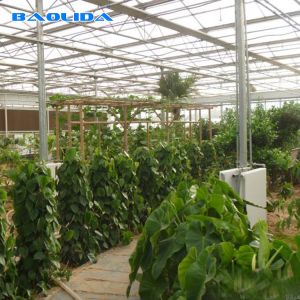 China Industrial Multi Span Greenhouse / Pe Film Greenhouse Sheet Covering on sale