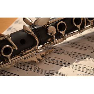 constansa instrumentProfessional Performance Level Ebony Wood Silver Plated 18