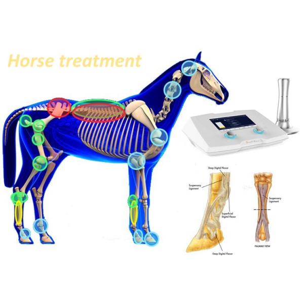 High Pressure Adjustable 1-22Hz Shockwave Machine For Horse Treatment