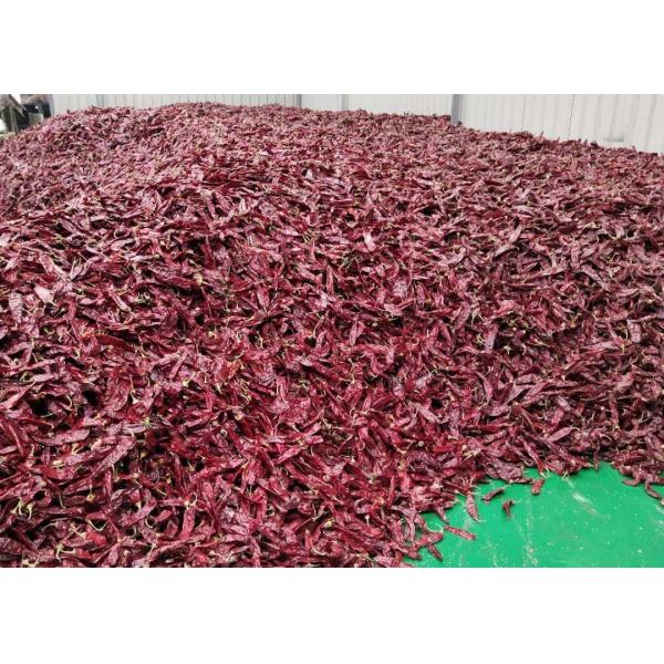 Buy Dehydrating Sweet Paprika Chilli Pepper Vacuum Sealed 1%Max at wholesale prices