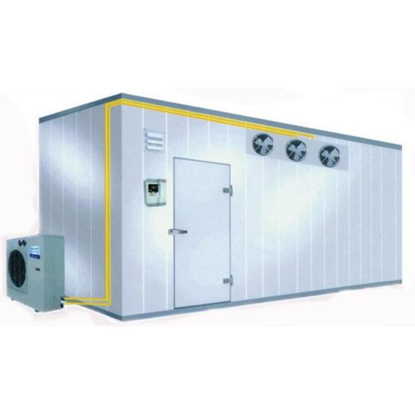 Buy Fire-Resistant Cold Room R404a Refrigerant Big Capacity Freezer Room at wholesale prices