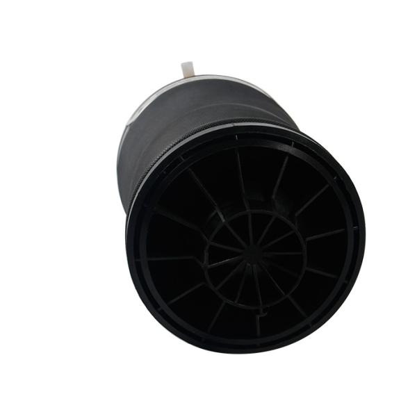 Rear Automotive Air Springs For Mercedes W164 X164 W166 OEM 164 320 10 25