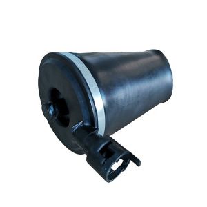 Rear Mercury Cars 3U2Z5580PA 6W1Z5560AA Ford Lincoln Air Suspension