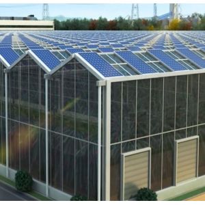 Heat Storage Single-Arch Commercial Photovoltaic Greenhouses Long-Lasting