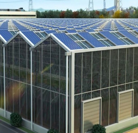 Buy Commercial Photovoltaic Greenhouse with Film Cover Material and Unheated Heating at wholesale prices