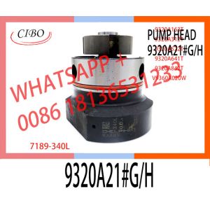 China High Quality Diesel Fuel Injection Pump DPA Head Rotor  For 9320A21#G/H on sale