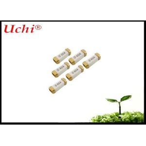 NANO2 Quick Acting Subminiature Surface Mount Brick Ceramic Fuse 2A 250V 10