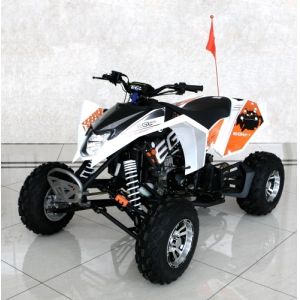 250cc Quad Four Wheeler Water Cooled Youth Racing ATV