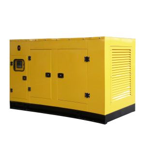 50kVA 60kVA 80kVA Silent Natural Gas Generator