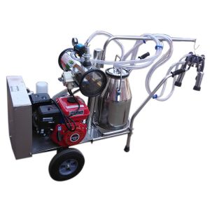 Gasoline Buffalo Cow Milking Machine Single Portable Donkey Turkey
