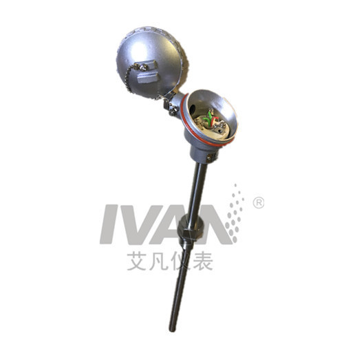 Customized Support OEM High Temperature Armored WZP Thermocouple with Single