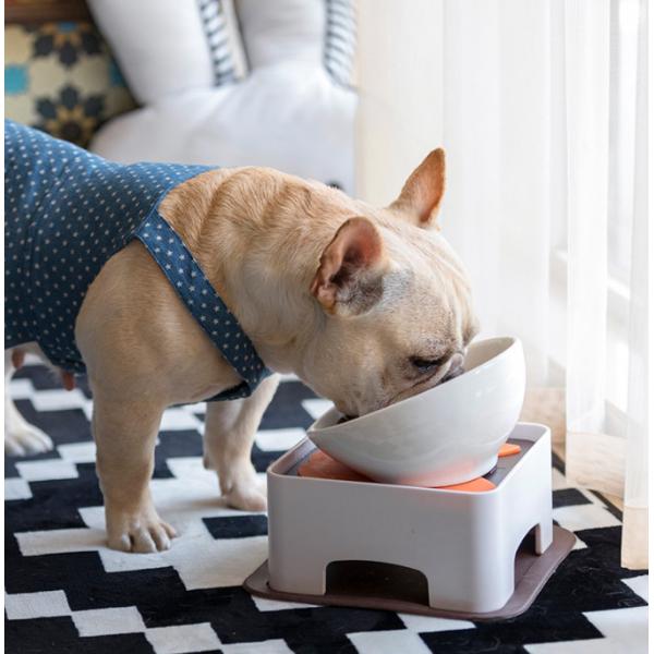 CeramicsTilted Single Food Feeding Bowl for French Bulldogs/Cats