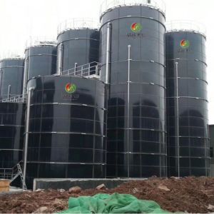 Normal Temperature Industrial Anaerobic Digestion Apparatus