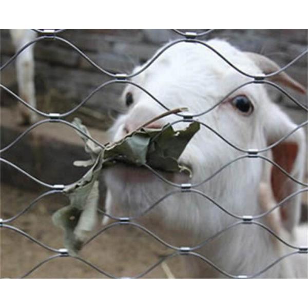 7x19 Construction Safety Wire Rope Mesh Stainless Steel 304 For Zoo