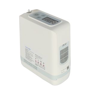 Medical Precision Compact Portable Oxygen Concentrator 5L 93% Purity