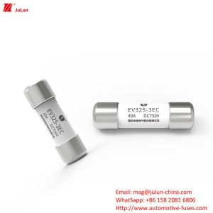 China EV Protection 40A Electric Car Special Vehicle Fuse on sale