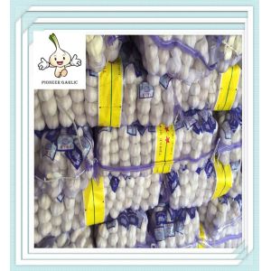 Quality Red Garlic 5.5cm In 10kg/Carton Loosely Jinxiang Crop Normal White Garlic Low Price for sale