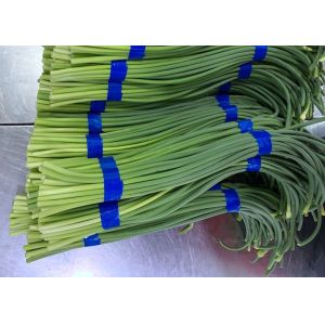 HACCP Fresh Garlic Bolt