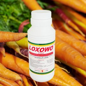 Quality Natural Green Foliar Organic Water Soluble Fertilizer Nutrient Rich for sale