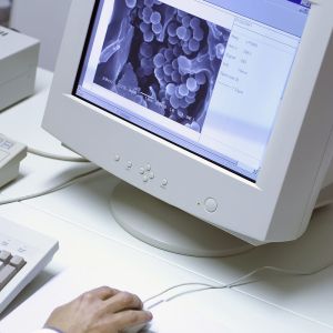 Refrigerating Home Appliance Testing In Recognized Laboratory