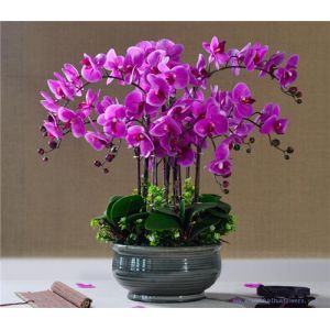 Quality Wholesale Potted PU Orchids for sale
