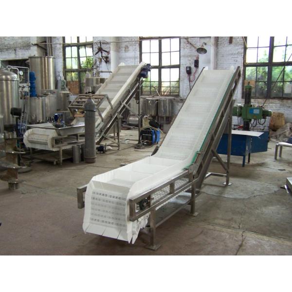 Hot Selling Plastic Mesh Belt Lifting Conveyor Food Transportation