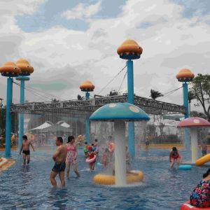Mushroom Group Spray Park Equipment , Customized Fiberglass Water Slide for