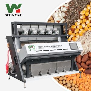 Automatic Colorful Plastic PVC ABS Pet PP Plastic Color Sorting Sorter Machine