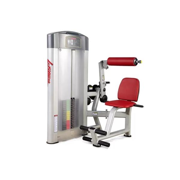 Buy Professional Commercial Grade Exercise Equipment Life Fitness Abdominal Machine at wholesale prices