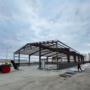 Customized Steel Structure Workshop with Aluminum Alloy Window