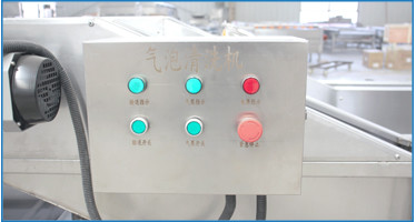 vegetable fruit washing machine
