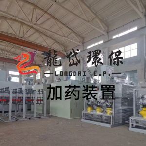 10000L/H Sewage Treatment Automatic Dosing System