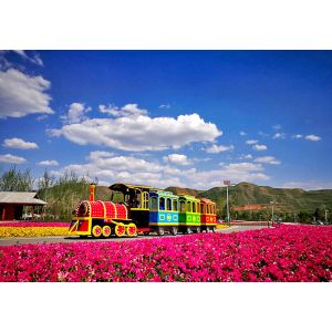 Sightseeing Amusement Park Electric Trains 12KW Power In Children'S Play Area