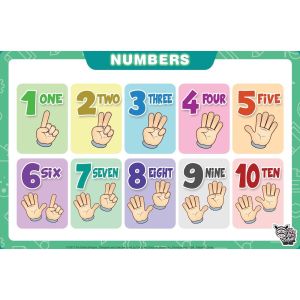 PVC Free Plastic Dinner Placemats , Disposable Table Mats For Babies