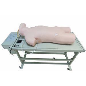 Comprehensive Puncture Clinical Simulation Various Postions for Hospitals