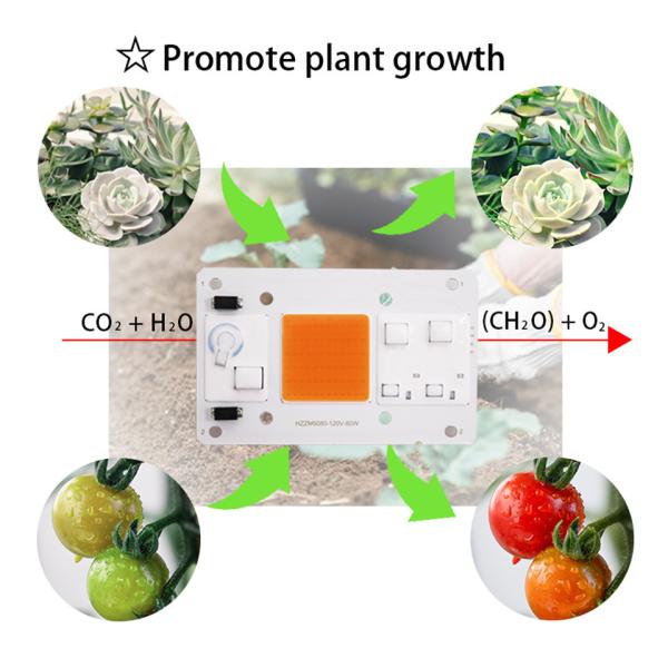 110V Solderless High Power Cob Led 80W High Luminous Efficiency