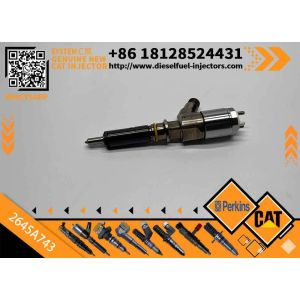 High Quality New Fuel System Parts Diesel Fuel Injector 2645A743 for Cat C6.6