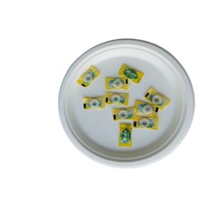 Quality 10 Inch Round Compostable Bagasse Disposable Plates for sale