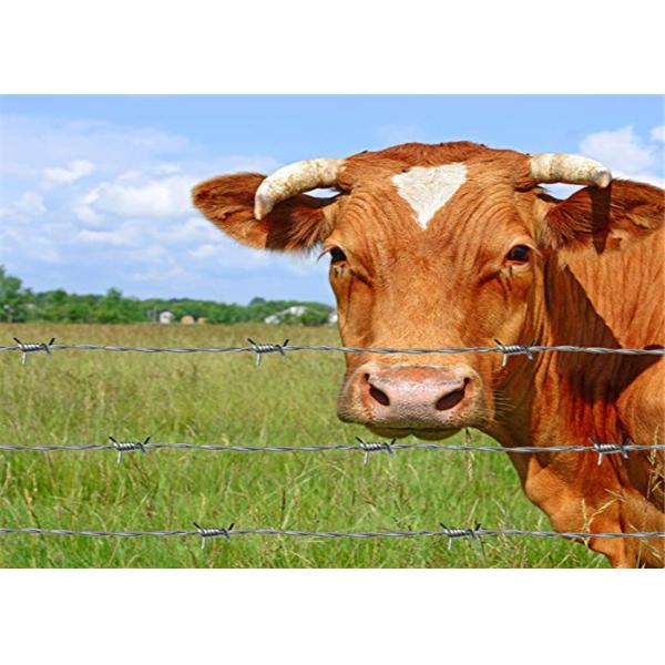 Buy 4 Point Stretching Spiral Barbed Wire Fence 1.6mm 1.8mm 2.0mm 2.2mm 2.5mm Dia at wholesale prices