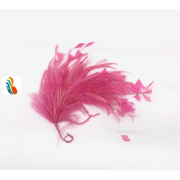 Create a Spooky Atmosphere with 15*30 cm Emu Feather Flower Mount and Wire Accessory