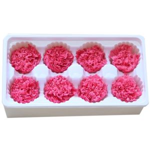 Factory Price Preserved Flowers Real Preserved Carnation For Mother