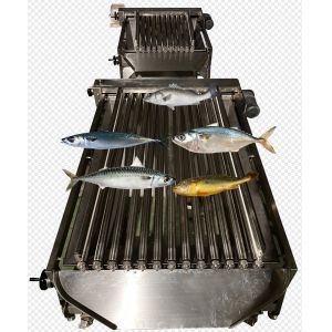 High Quality Automatic Fish Machine And Small Fish Sorting Line With 5-10T/H