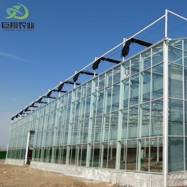 Buy JX-Glass Green House Customized Solution for Tomato and Leaves Sale in Hot Market at wholesale prices
